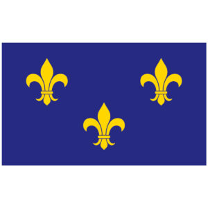 Fleur-De-Lis Nylon Flag – Blue-3