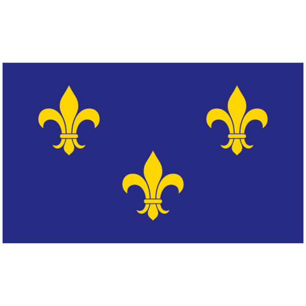 Fleur-De-Lis Nylon Flag – Blue-3