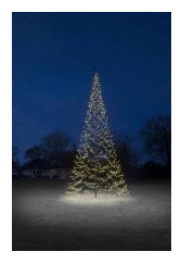Flagpole Christmas Tree Lighting